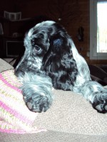 /album/ilpo/a31-03-12-007-jpg/